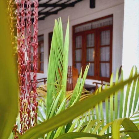 The Cozy Cottage 하바라나 외부 사진