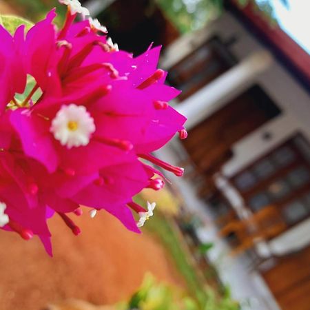 The Cozy Cottage 하바라나 외부 사진