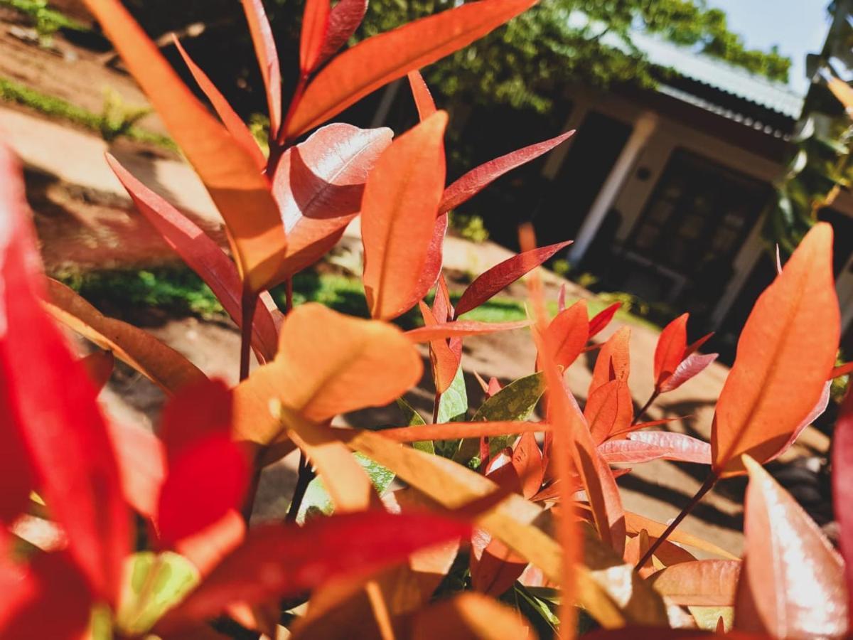 The Cozy Cottage 하바라나 외부 사진