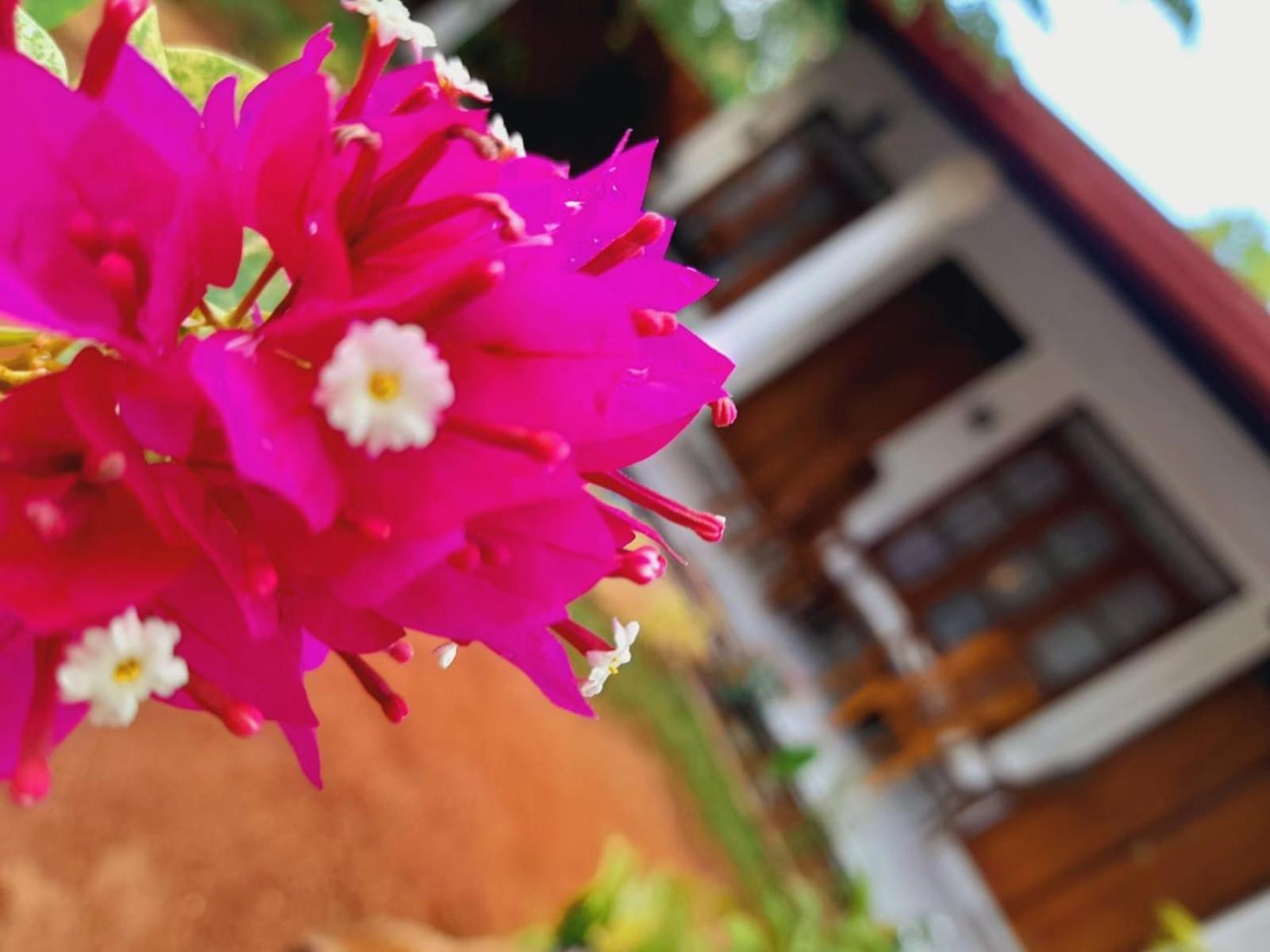 The Cozy Cottage 하바라나 외부 사진