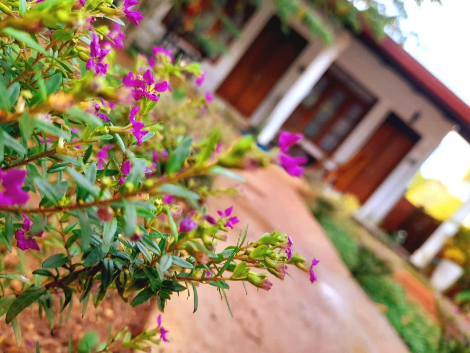 The Cozy Cottage 하바라나 외부 사진